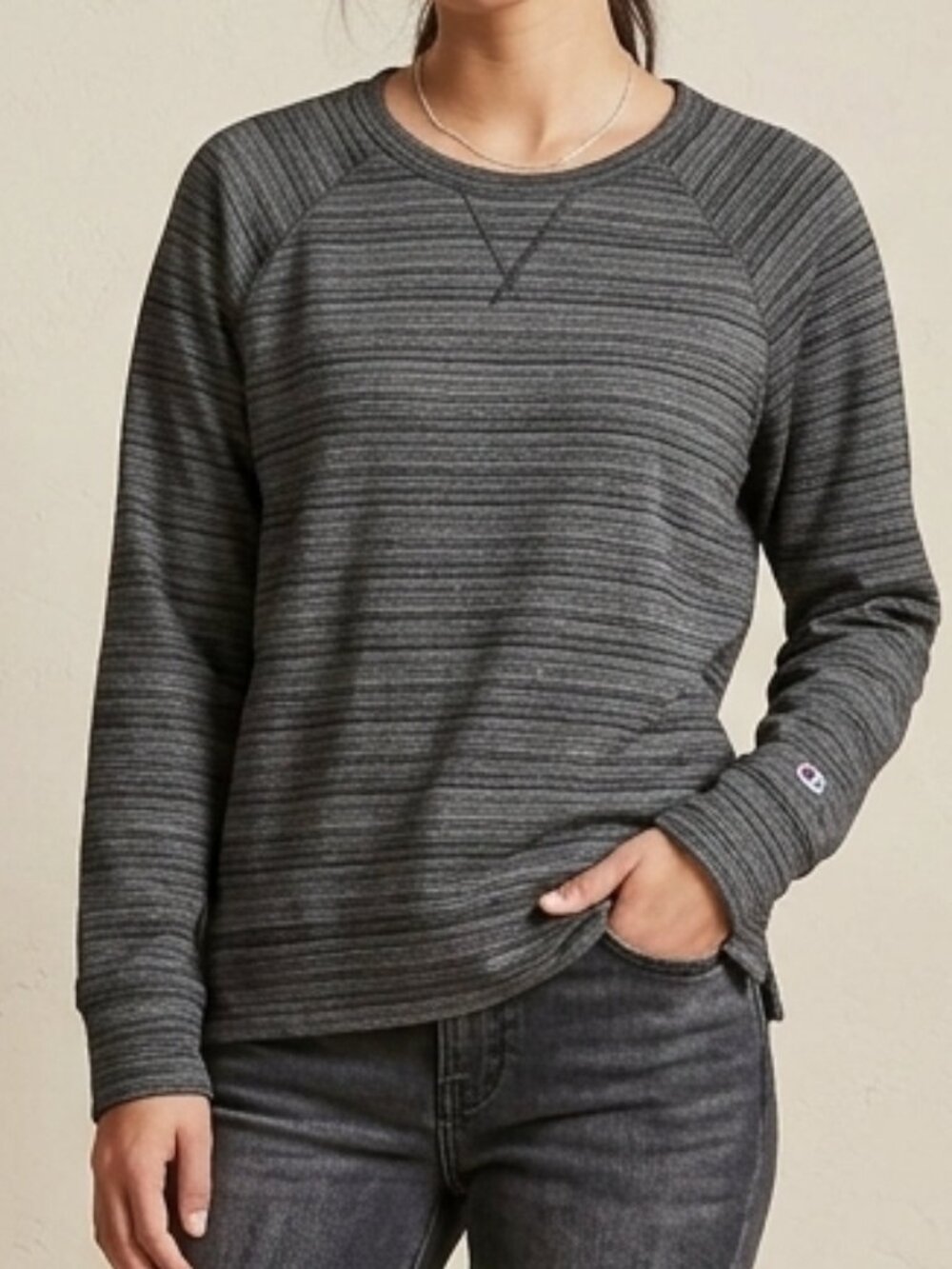 Champion Gray Striped Crewneck Sweatshirt Pullover Size M